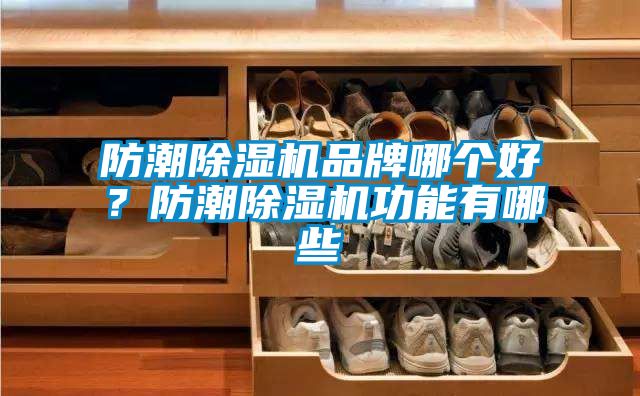 防潮除濕機品牌哪個好？防潮除濕機功能有哪些