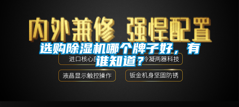 選購(gòu)除濕機(jī)哪個(gè)牌子好，有誰(shuí)知道？