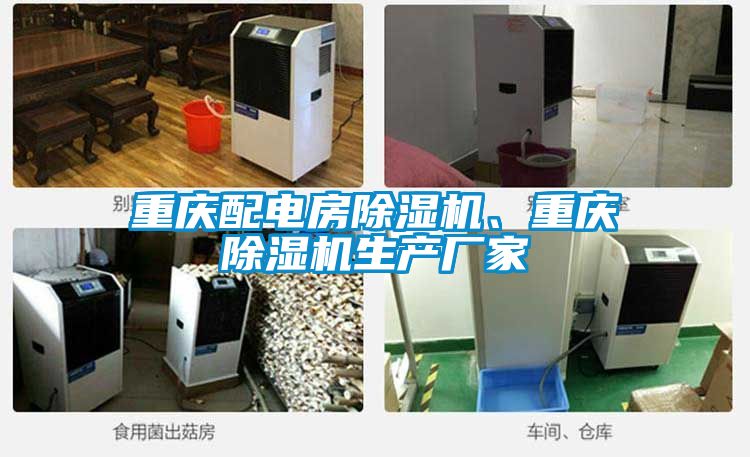 重慶配電房除濕機、重慶除濕機生產(chǎn)廠家