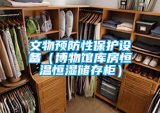 文物預(yù)防性保護(hù)設(shè)備（博物館庫房恒溫恒濕儲(chǔ)存柜）
