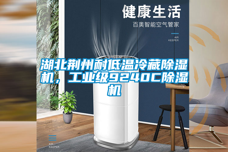 湖北荊州耐低溫冷藏除濕機(jī)，工業(yè)級9240C除濕機(jī)