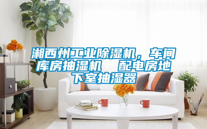 湘西州工業(yè)除濕機(jī)，車間庫(kù)房抽濕機(jī)  配電房地下室抽濕器