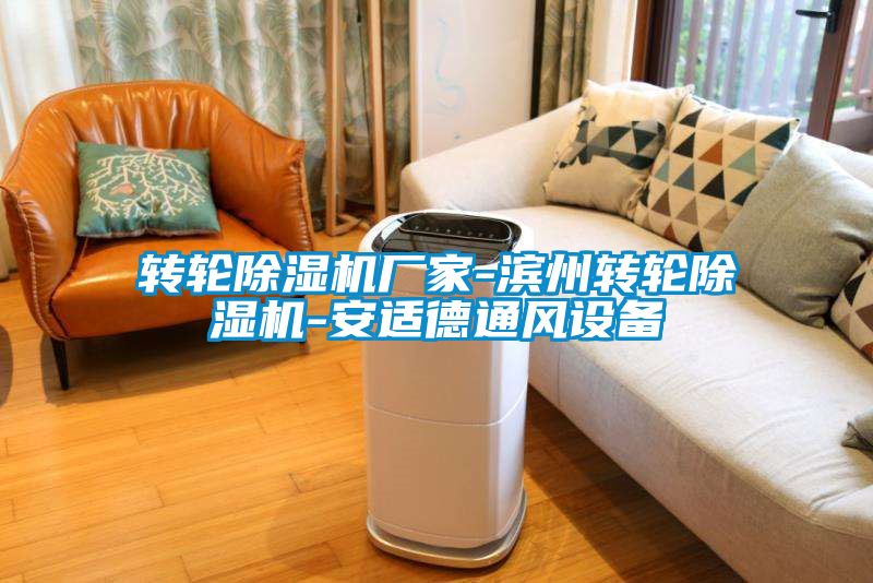 轉(zhuǎn)輪除濕機廠家-濱州轉(zhuǎn)輪除濕機-安適德通風設(shè)備
