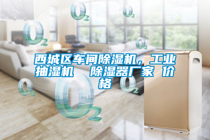 西城區(qū)車間除濕機，工業(yè)抽濕機  除濕器廠家 價格
