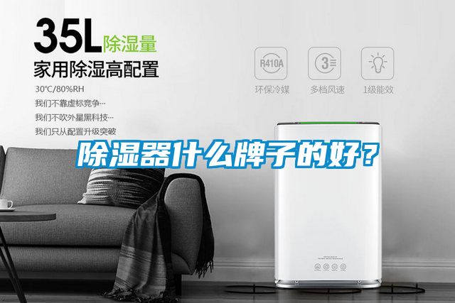 除濕器什么牌子的好？