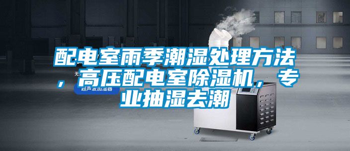 配電室雨季潮濕處理方法，高壓配電室除濕機，專業(yè)抽濕去潮