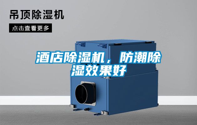 酒店除濕機(jī)，防潮除濕效果好