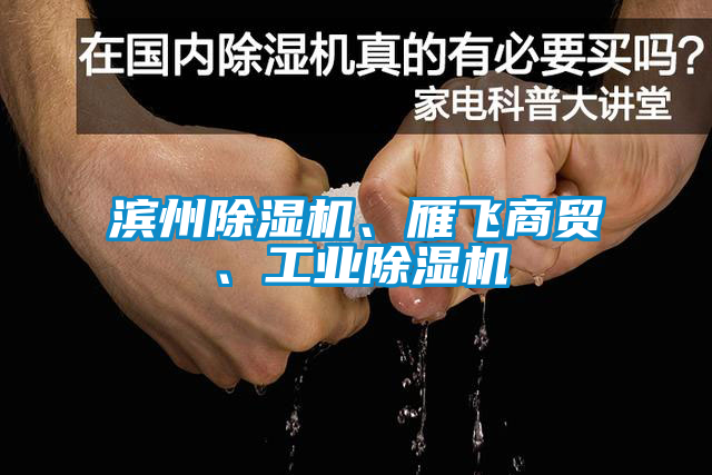 濱州除濕機、雁飛商貿(mào)、工業(yè)除濕機