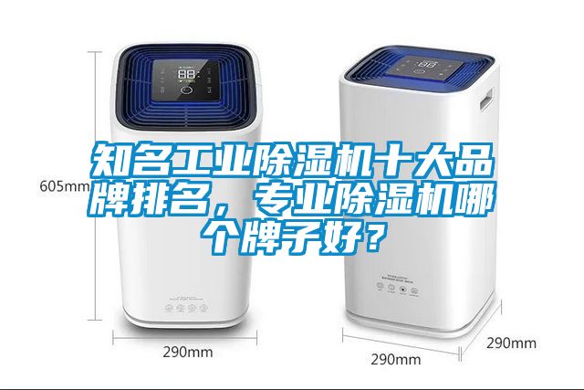 知名工業(yè)除濕機十大品牌排名，專業(yè)除濕機哪個牌子好？