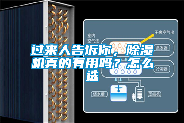 過來人告訴你，除濕機(jī)真的有用嗎？怎么選