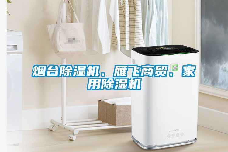 煙臺除濕機、雁飛商貿(mào)、家用除濕機