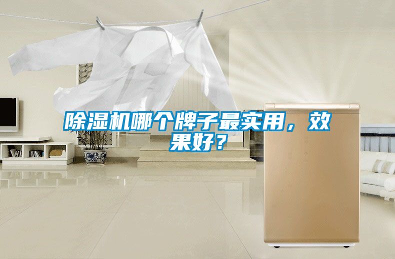 除濕機哪個牌子最實用，效果好？