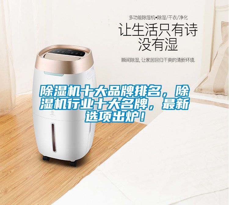 除濕機十大品牌排名，除濕機行業(yè)十大名牌，最新選項出爐！