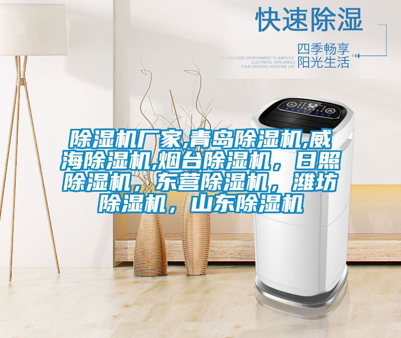 除濕機(jī)廠家,青島除濕機(jī),威海除濕機(jī),煙臺(tái)除濕機(jī)，日照除濕機(jī)，東營(yíng)除濕機(jī)，濰坊除濕機(jī)，山東除濕機(jī)