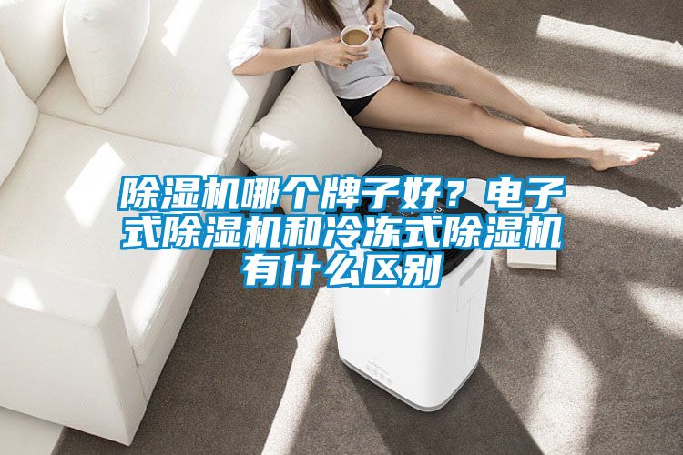 除濕機哪個牌子好？電子式除濕機和冷凍式除濕機有什么區(qū)別