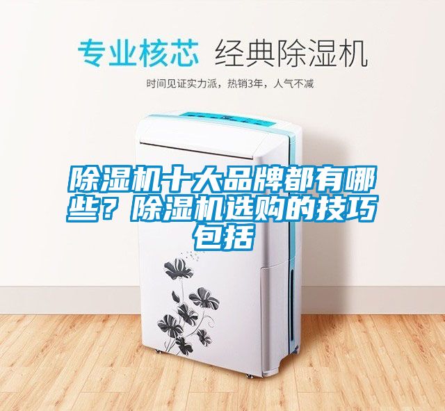 除濕機(jī)十大品牌都有哪些？除濕機(jī)選購的技巧包括
