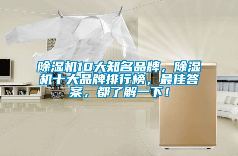 除濕機10大知名品牌，除濕機十大品牌排行榜，最佳答案，都了解一下！