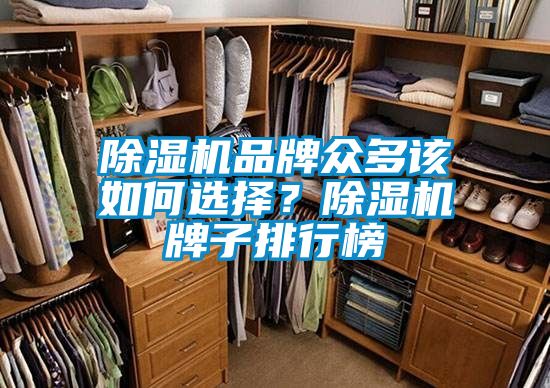 除濕機品牌眾多該如何選擇？除濕機牌子排行榜
