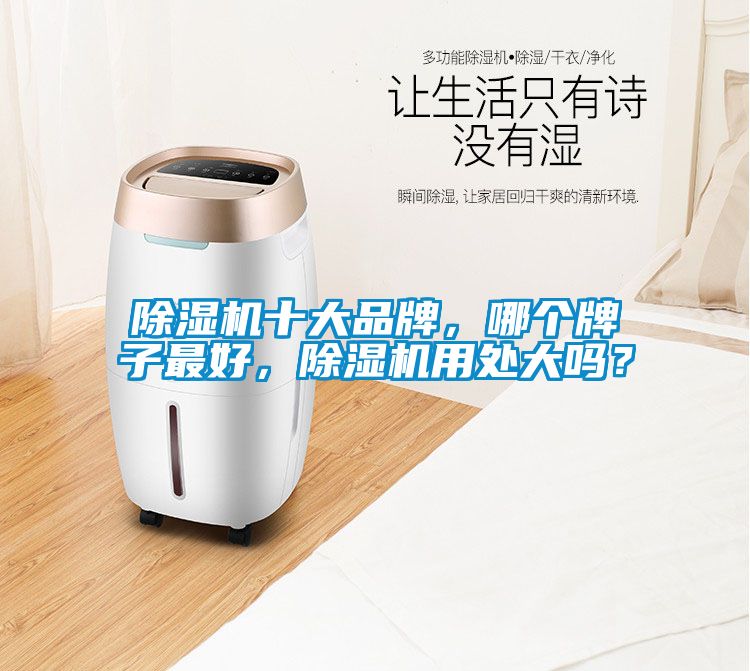 除濕機(jī)十大品牌，哪個(gè)牌子最好，除濕機(jī)用處大嗎？