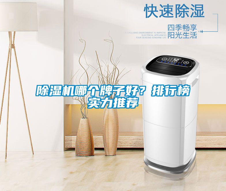 除濕機(jī)哪個(gè)牌子好？排行榜實(shí)力推薦