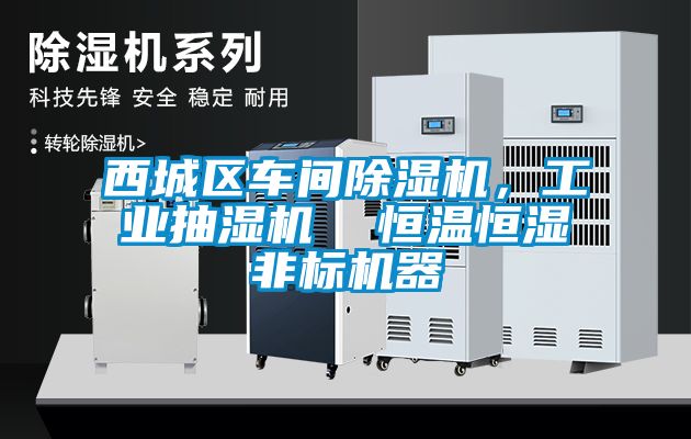 西城區(qū)車間除濕機，工業(yè)抽濕機  恒溫恒濕非標機器