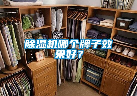 除濕機(jī)哪個(gè)牌子效果好？