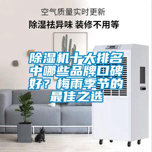 除濕機(jī)十大排名中哪些品牌口碑好？梅雨季節(jié)的最佳之選