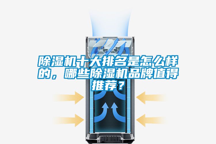 除濕機(jī)十大排名是怎么樣的，哪些除濕機(jī)品牌值得推薦？