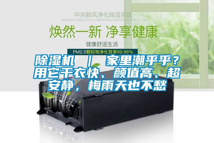 除濕機(jī) ｜ 家里潮乎乎？用它干衣快、顏值高、超安靜，梅雨天也不愁