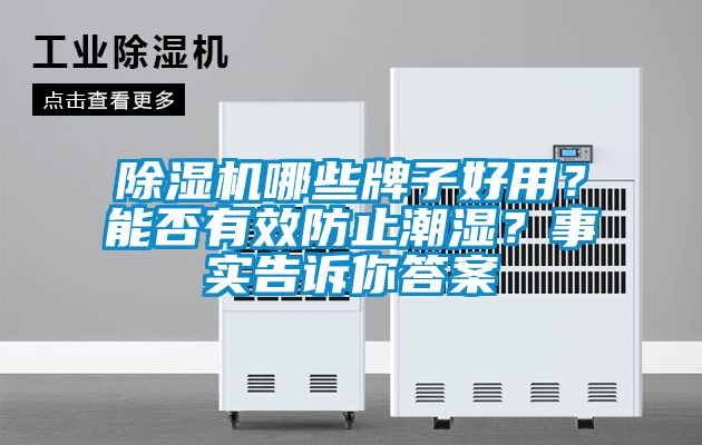 除濕機(jī)哪些牌子好用？能否有效防止潮濕？事實(shí)告訴你答案