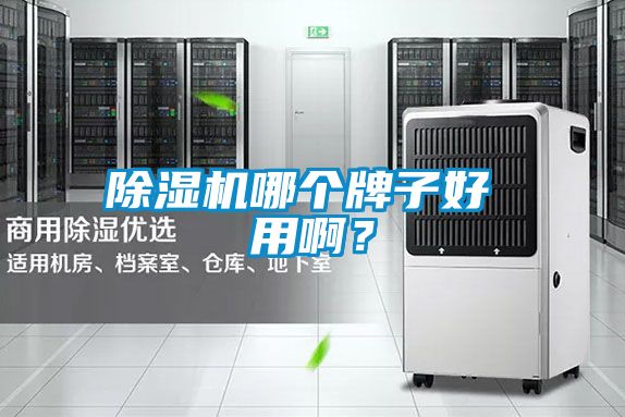 除濕機哪個牌子好 用啊？