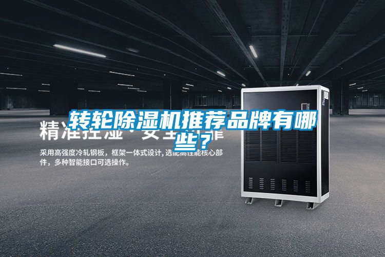 轉輪除濕機推薦品牌有哪些？