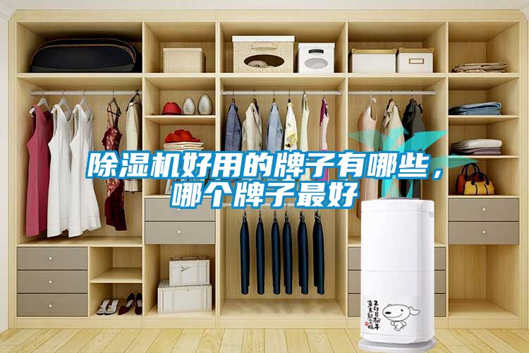 除濕機好用的牌子有哪些，哪個牌子最好