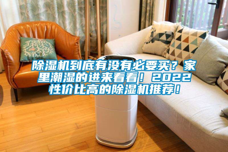 除濕機(jī)到底有沒有必要買？家里潮濕的進(jìn)來看看！2022性價(jià)比高的除濕機(jī)推薦！