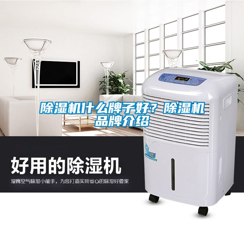 除濕機(jī)什么牌子好？除濕機(jī)品牌介紹