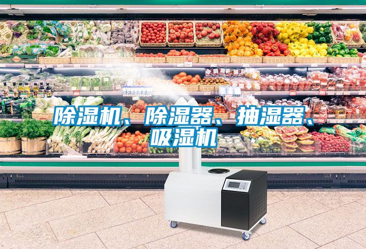除濕機(jī)、除濕器、抽濕器、吸濕機(jī)