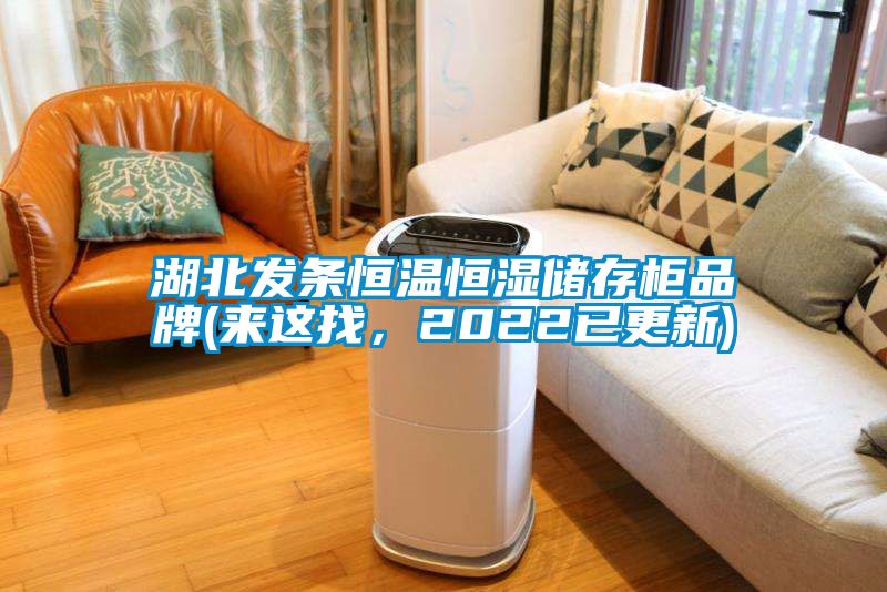 湖北發(fā)條恒溫恒濕儲(chǔ)存柜品牌(來這找，2022已更新)