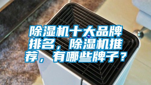 除濕機十大品牌排名，除濕機推薦，有哪些牌子？