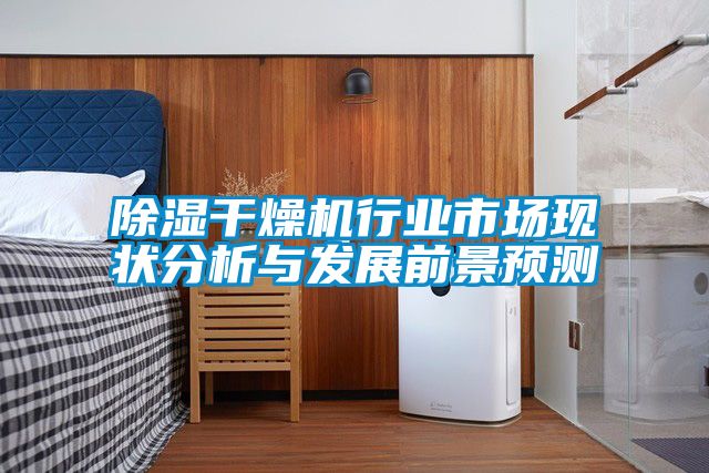 除濕干燥機行業(yè)市場現(xiàn)狀分析與發(fā)展前景預測