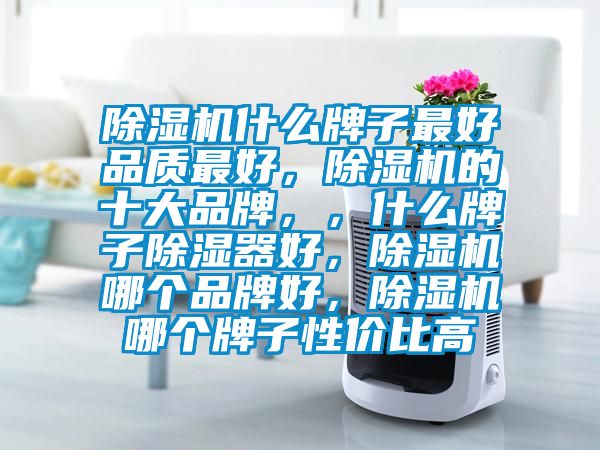 除濕機(jī)什么牌子最好品質(zhì)最好，除濕機(jī)的十大品牌，，什么牌子除濕器好，除濕機(jī)哪個(gè)品牌好，除濕機(jī)哪個(gè)牌子性價(jià)比高