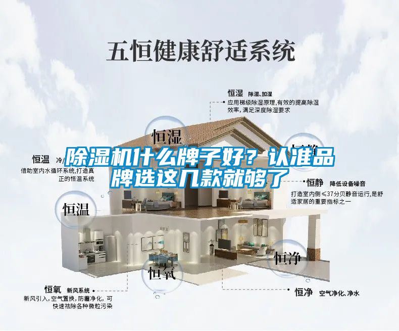 除濕機(jī)什么牌子好？認(rèn)準(zhǔn)品牌選這幾款就夠了