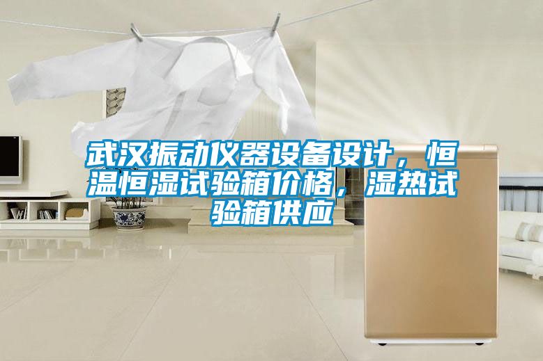 武漢振動(dòng)儀器設(shè)備設(shè)計(jì)，恒溫恒濕試驗(yàn)箱價(jià)格，濕熱試驗(yàn)箱供應(yīng)