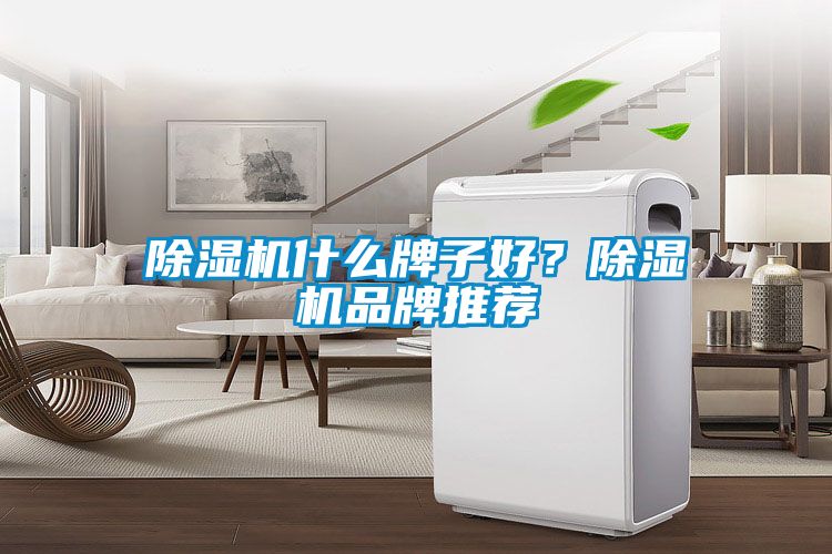 除濕機(jī)什么牌子好？除濕機(jī)品牌推薦