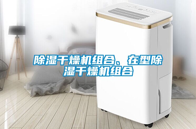 除濕干燥機組合、在型除濕干燥機組合