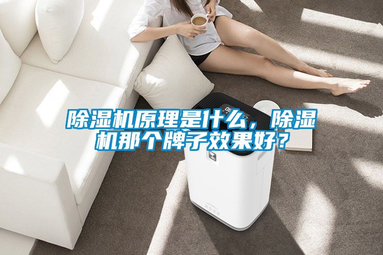 除濕機(jī)原理是什么，除濕機(jī)那個(gè)牌子效果好？