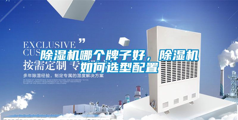 除濕機哪個牌子好，除濕機如何選型配置