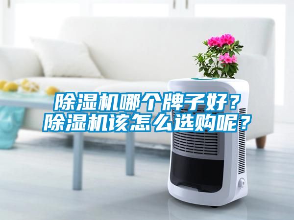 除濕機哪個牌子好？除濕機該怎么選購呢？