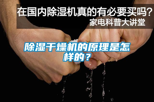 除濕干燥機(jī)的原理是怎樣的？