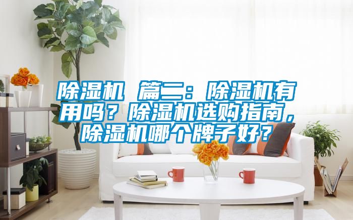 除濕機(jī) 篇二：除濕機(jī)有用嗎？除濕機(jī)選購指南，除濕機(jī)哪個牌子好？