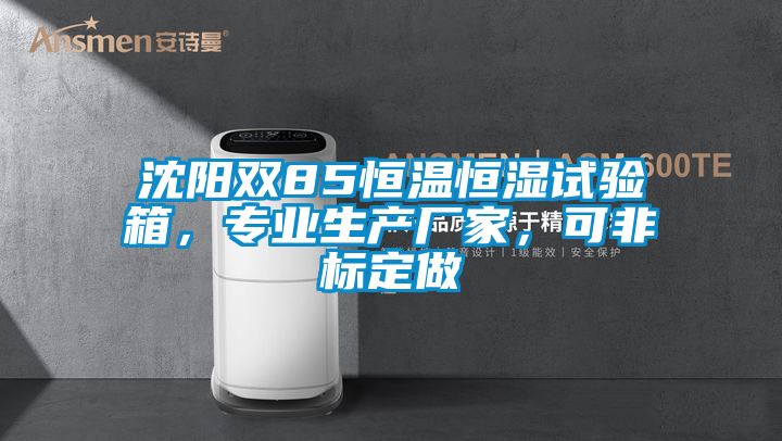 沈陽雙85恒溫恒濕試驗箱，專業(yè)生產(chǎn)廠家，可非標(biāo)定做